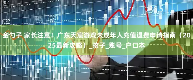 金勺子 家长注意！广东天宸游戏未成年人充值退费申请指南（2025最新攻略）_孩子_账号_户口本